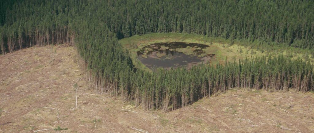 Deforestation seeing from above