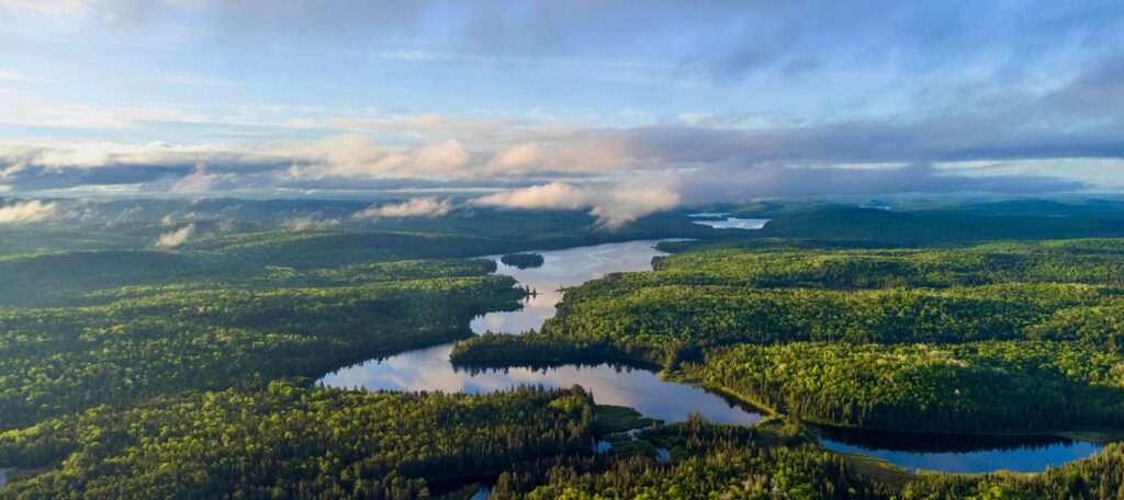 Algonquin Park in Ontario with a river crossing it