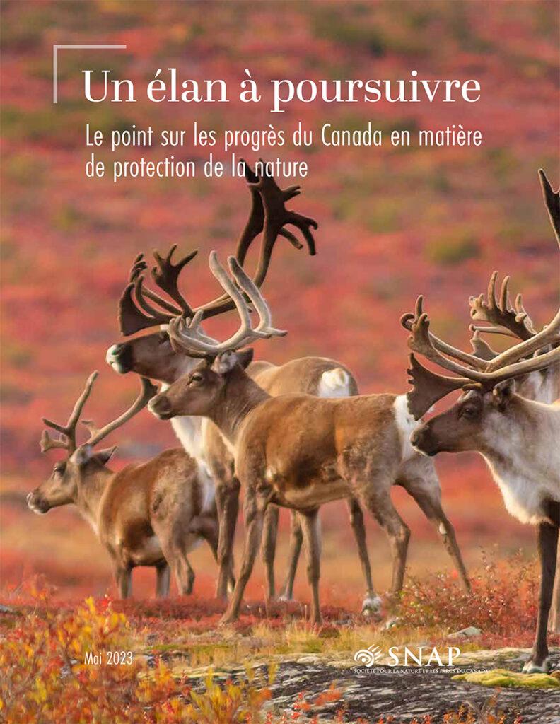 Couverture du document Un élan à poursuivre; Le point sur les progrès du Canada en matière de protection de la mature