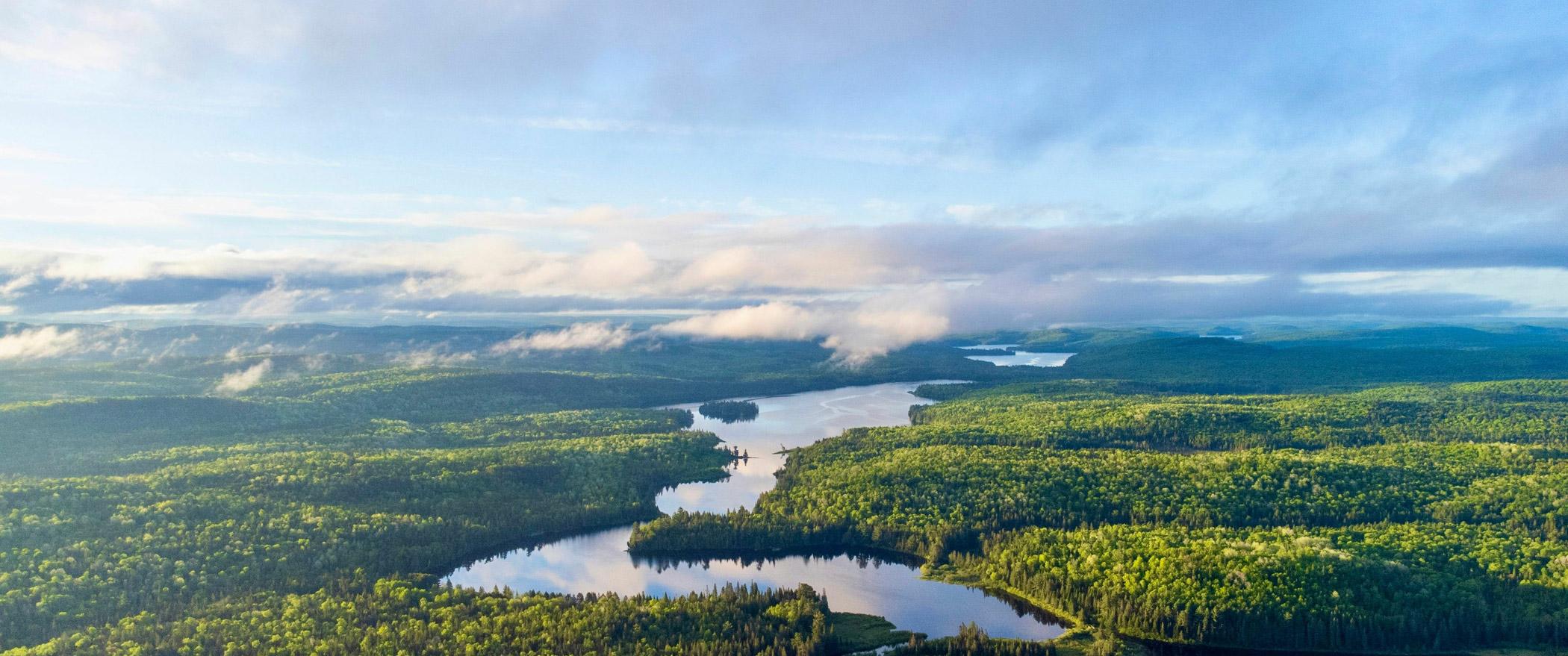 Parc Algonquin, en Ontario, vu d'au dessus