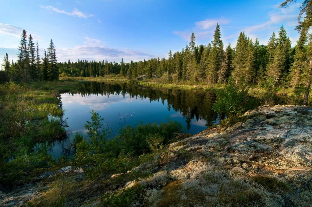 Lac in the middle of the forest in Manitoba