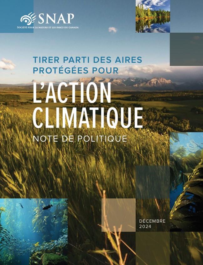Couverture du document Tirer parti des aires protégées pour l’action climatique – Note de politique (2024)