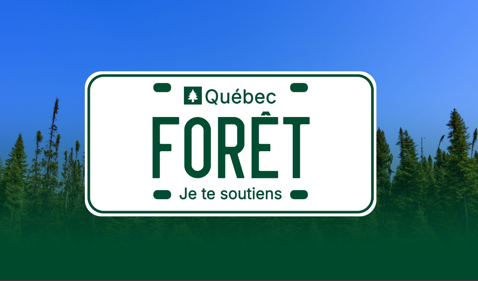 Visuel de la campagne 