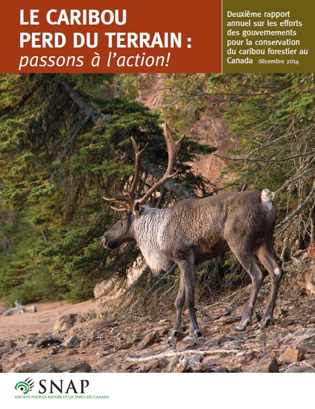 Couverture du rapport : 