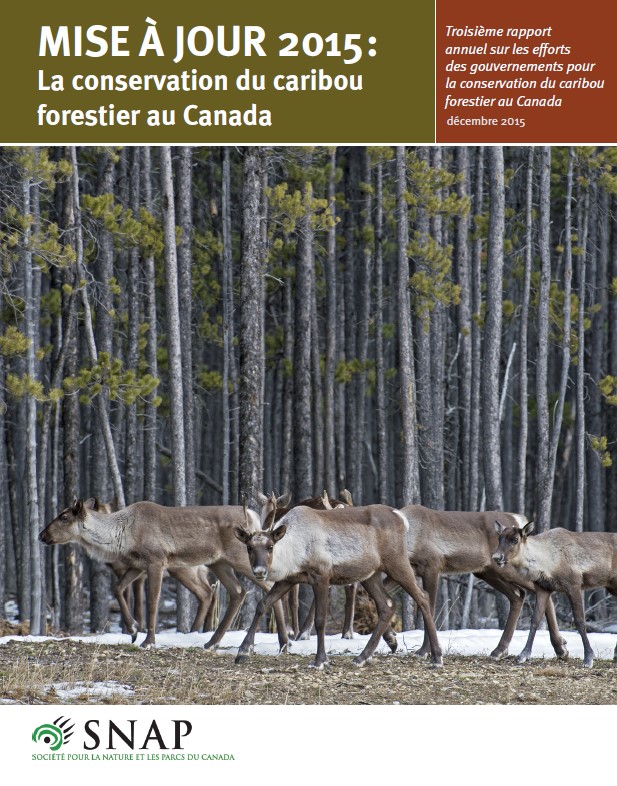 Couverture du document : 