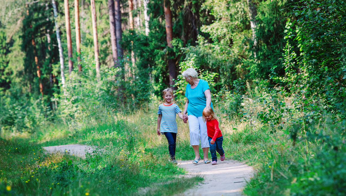 Une petite fille marchant dans la forêt avec sa grand-mère.