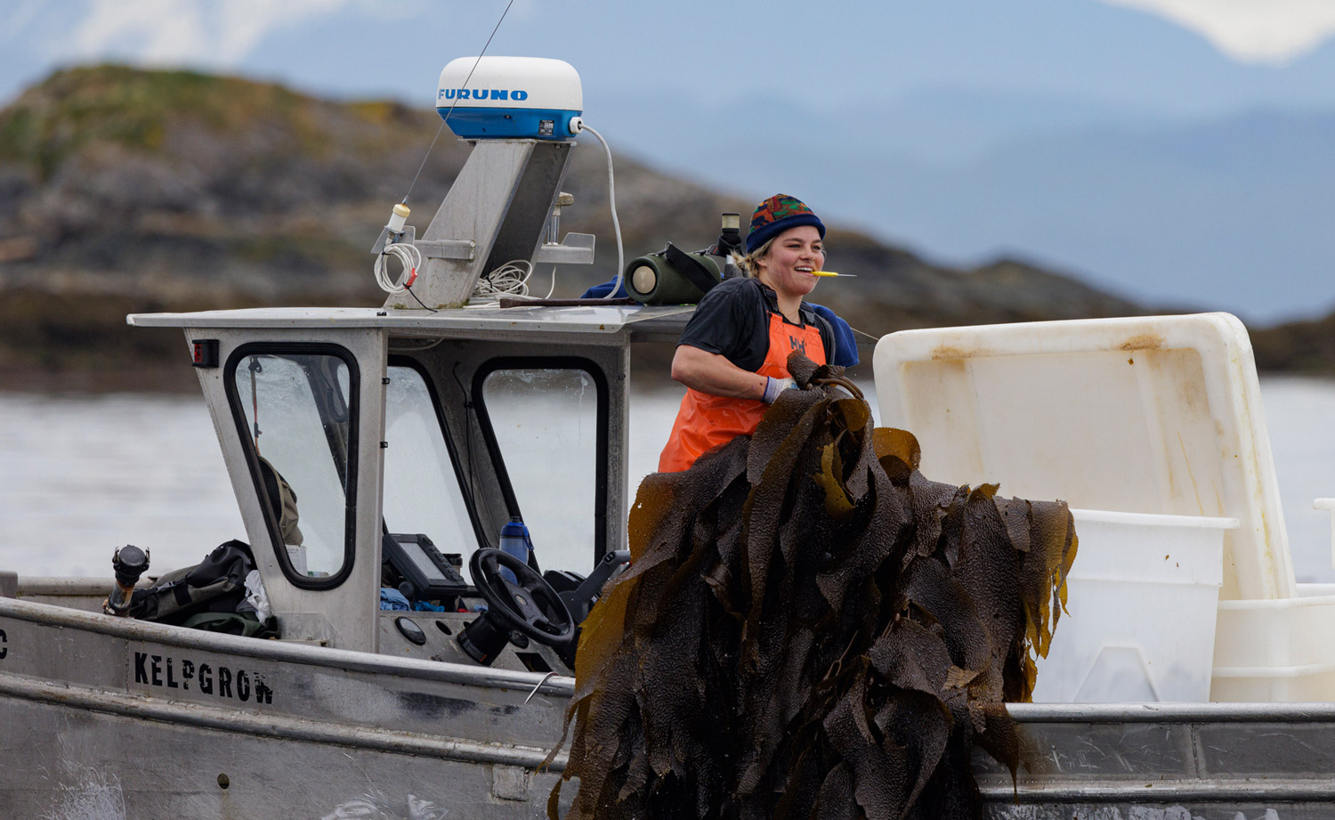 Femme sur un bateau pêchant le varech