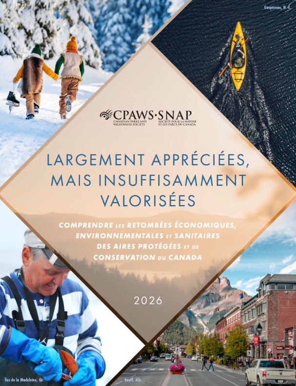 Page couverture du rapport 
