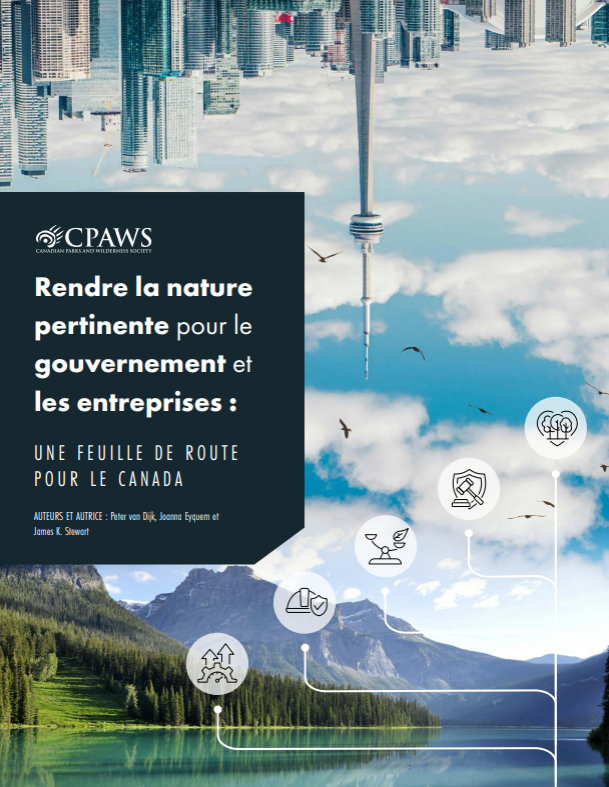 Couverture du rapport : Rendre la nature pertinente pour le gouvernement et les entreprises