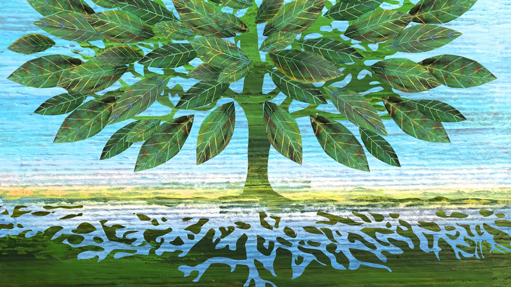 Arbre dont les racines s’enfoncent dans le sol, représentant le Rapport d’impact 2025-2026 de la SNAP.